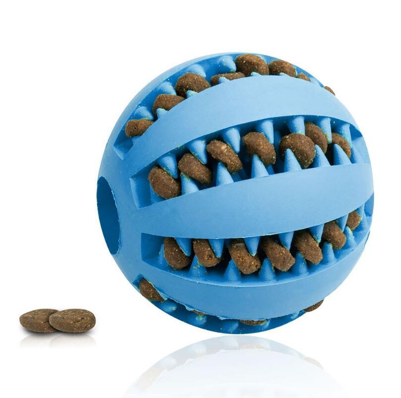 Pet Slow Feeder Ball Toy