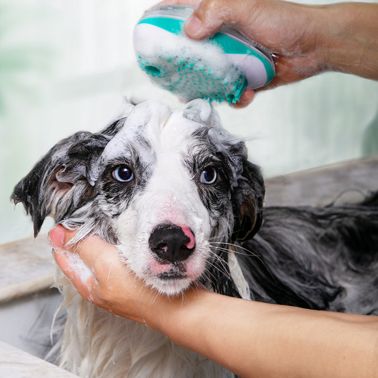 Automatic Liquid Pet Bath Massage Comb