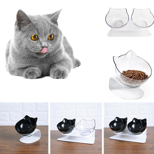 Anti vomiting pet double bowl